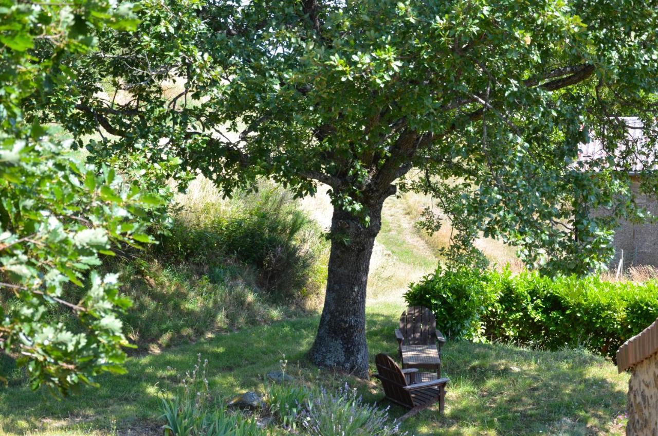 Gites Le Chêne&Le Tilleul Saint-Romain-de-Lerps Quarto foto